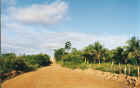 The only public road in the Pantanal