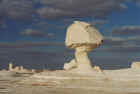 One of many rock mushrooms