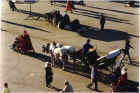 marrakesh-horsecart.jpg (268458 bytes)