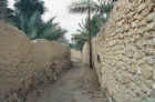 Village street around Palmyra 