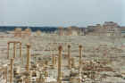 Emperor Hadrian visited Palmyra in 130 CE and declared it a 'free city' allowing it to levy its own taxes. 